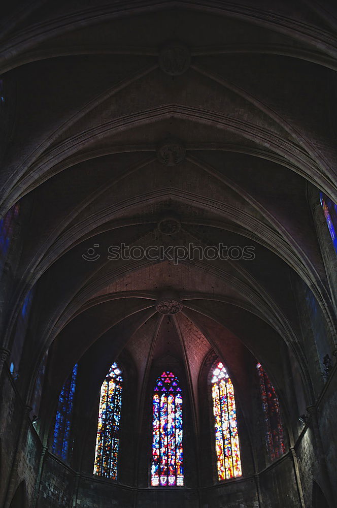 Similar – Notre Dame de Paris