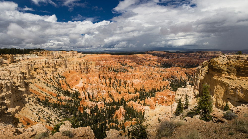 Similar – Bryce Canyon View