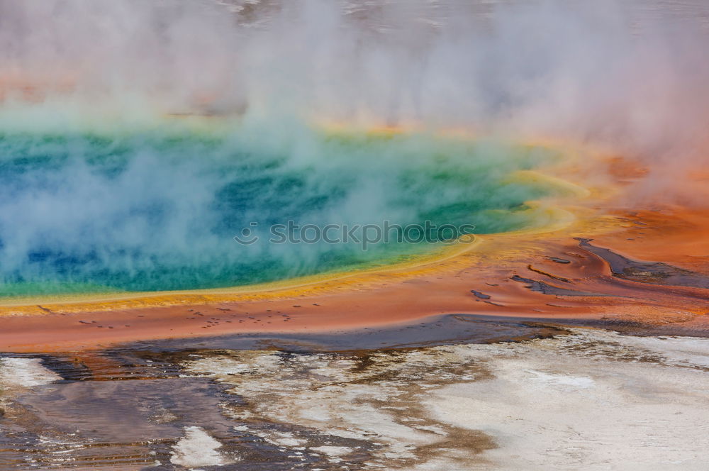 Similar – Image, Stock Photo Bacterial species