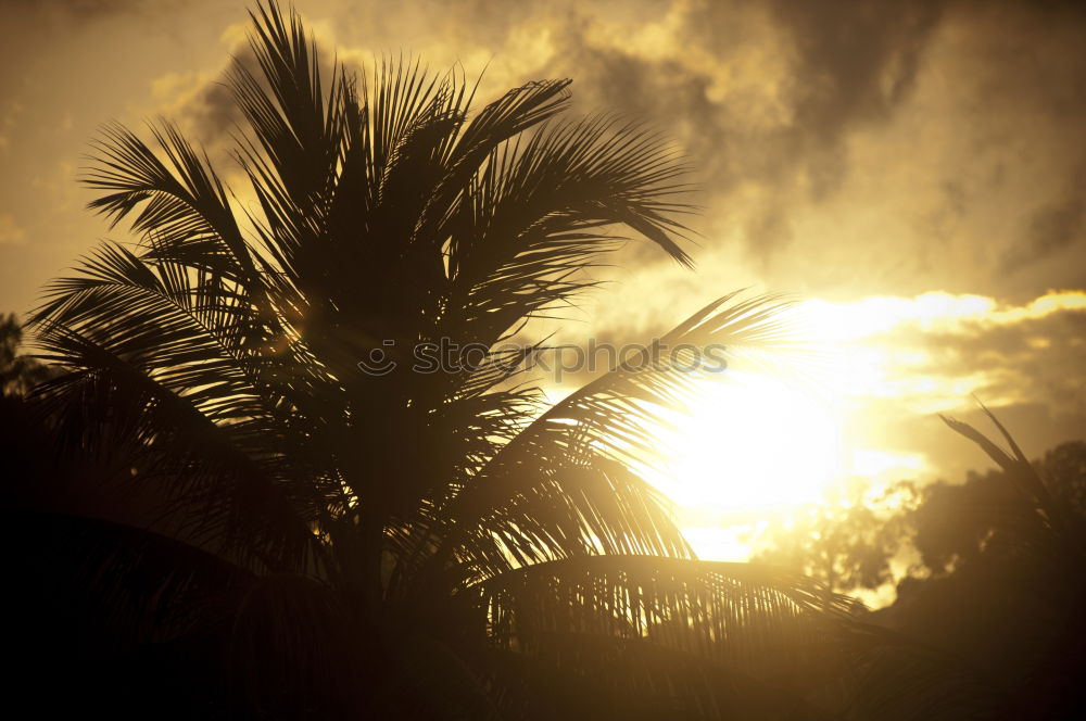 Sunset Caye Caulker