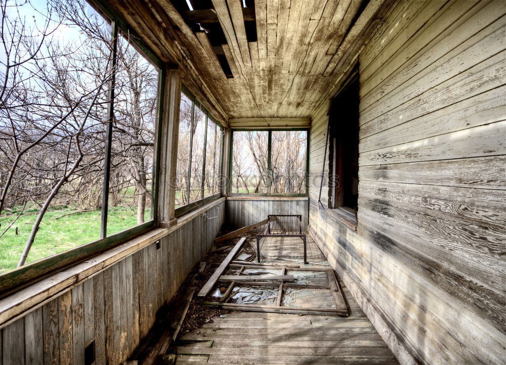 Similar – offenes Fenster Baum Ruine