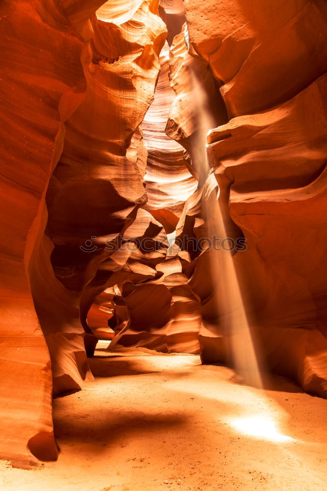 Similar – Image, Stock Photo Canyon Girl III Lifestyle