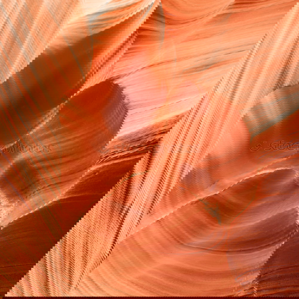 Similar – Image, Stock Photo no passage
