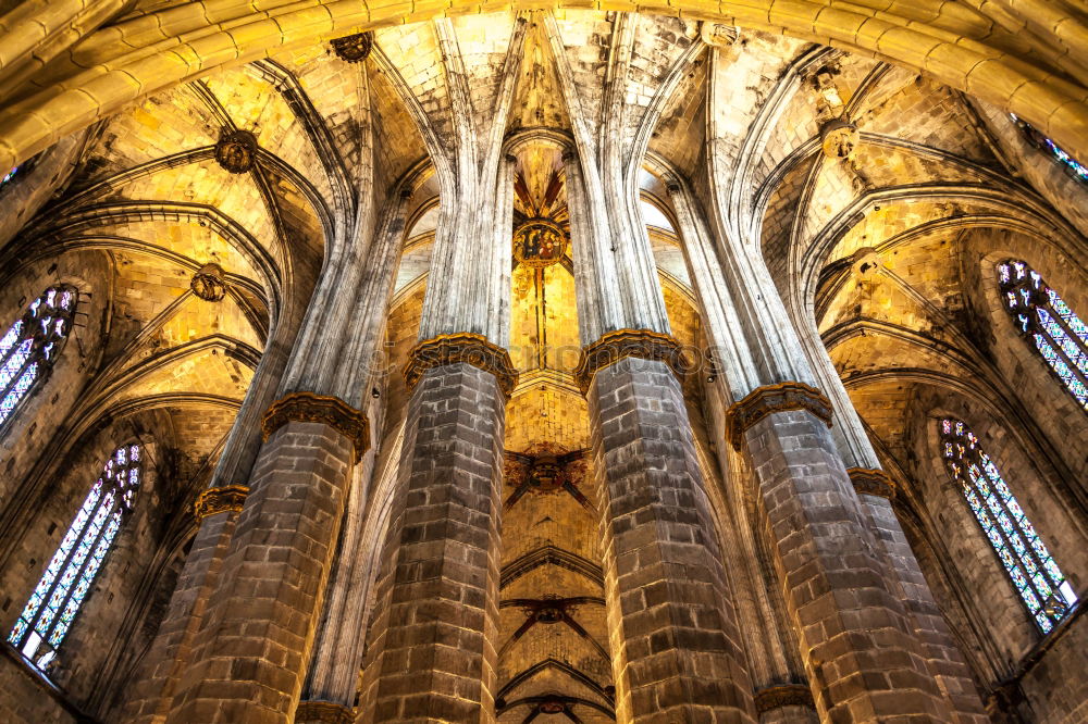 Similar – Image, Stock Photo Cathedral