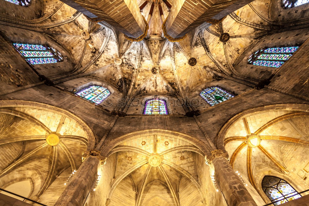 Similar – Image, Stock Photo Cathedral