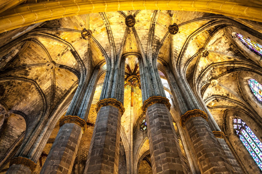 Similar – Foto Bild Kölner Dom Gotik Licht