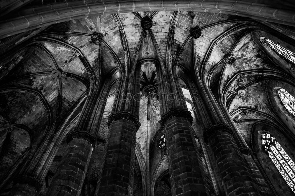 Similar – Image, Stock Photo Der Kölner Dom Cologne