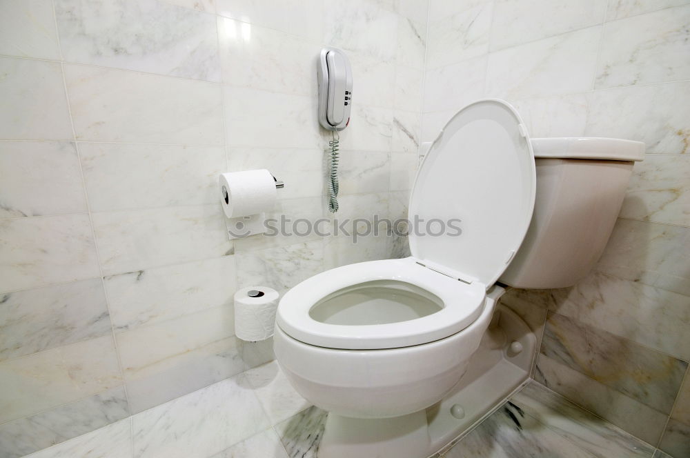 Similar – Image, Stock Photo nice and tidy Bathroom