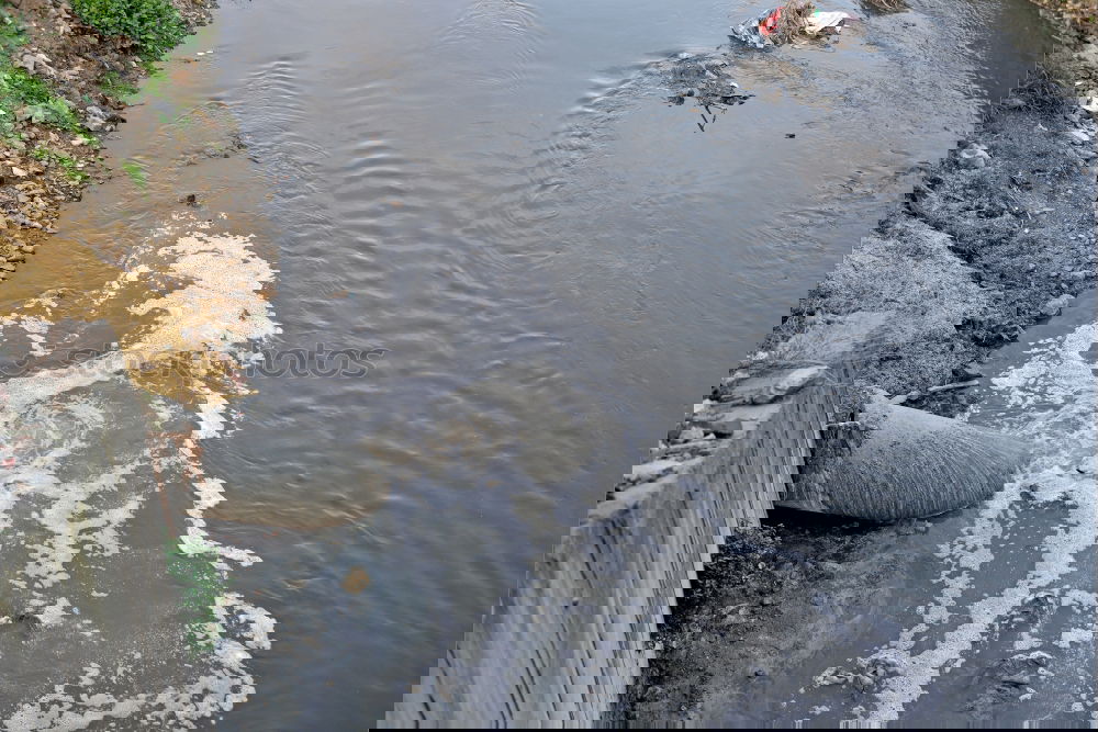 Similar – Image, Stock Photo Tires under water Lake