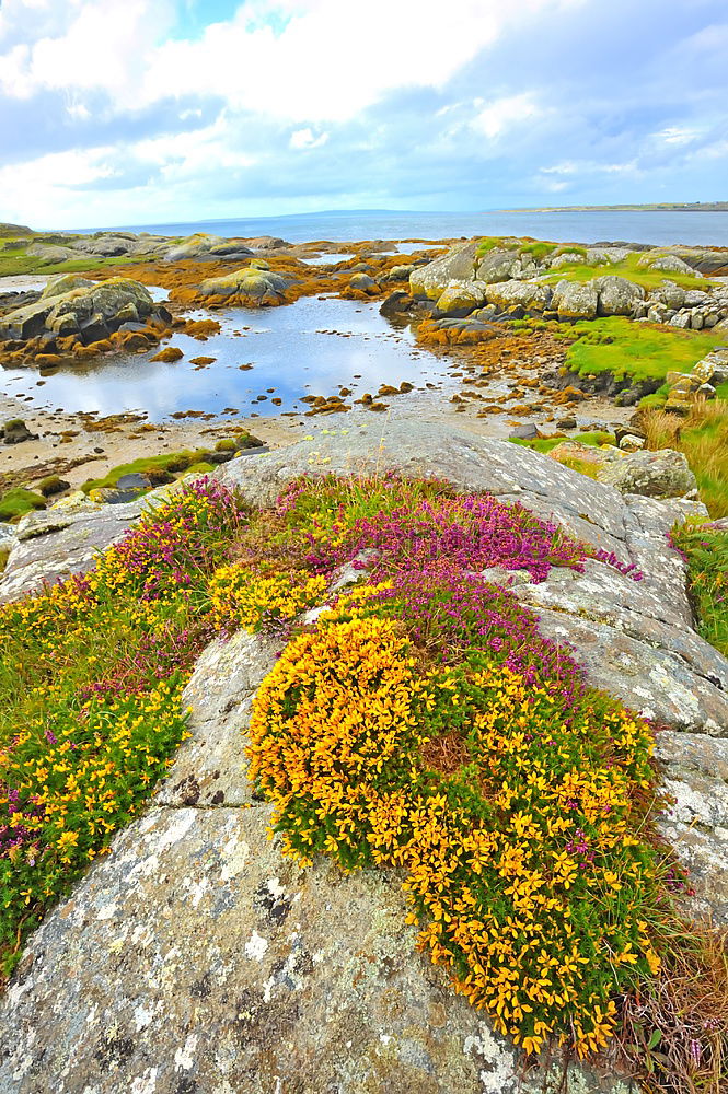 Similar – irish coast Coast Ocean