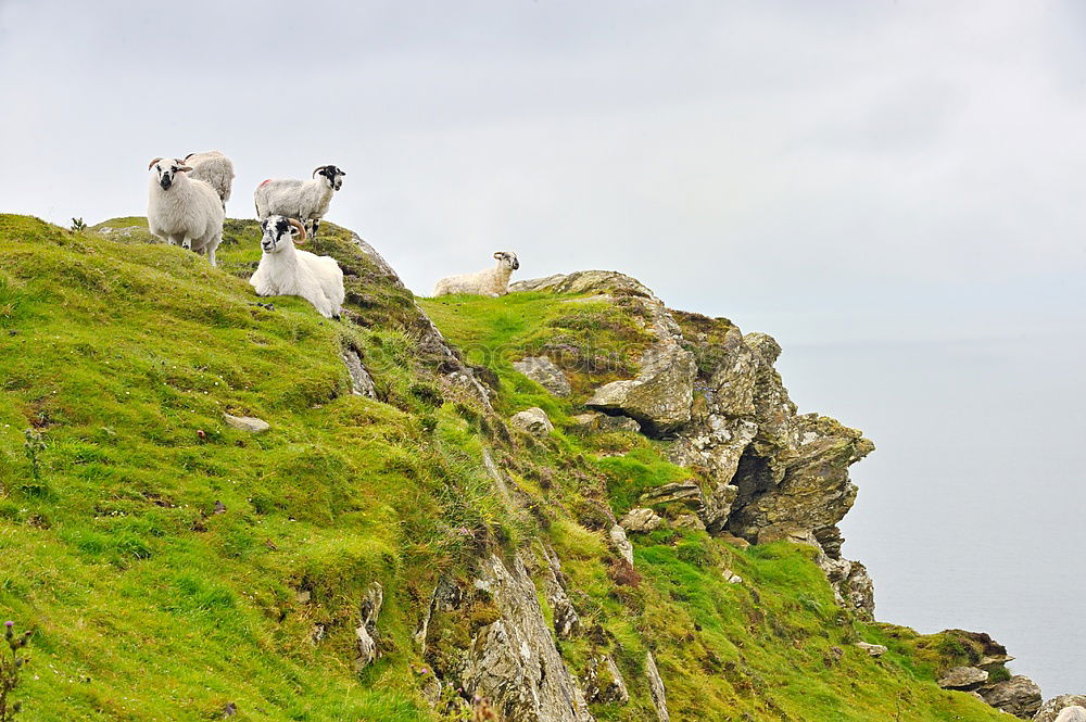 Similar – Foto Bild rough peak Klippe Meer See