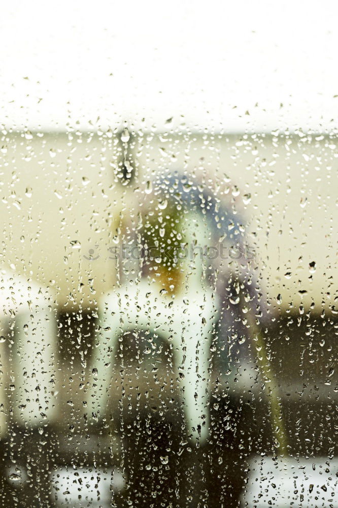 Similar – Image, Stock Photo cold and wet Umbrella Cold