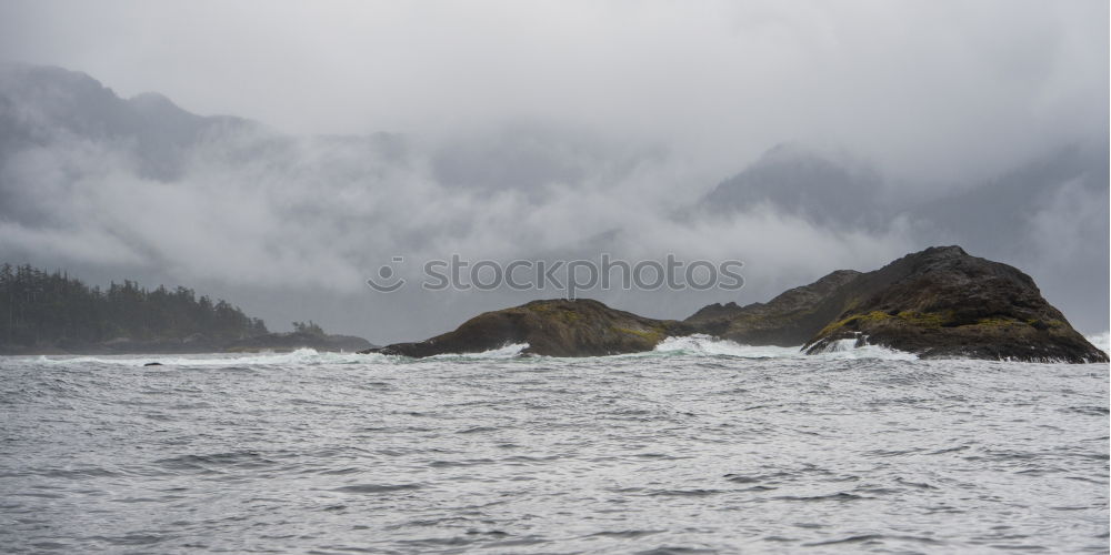 Similar – Foto Bild Morning, Tofino Strand