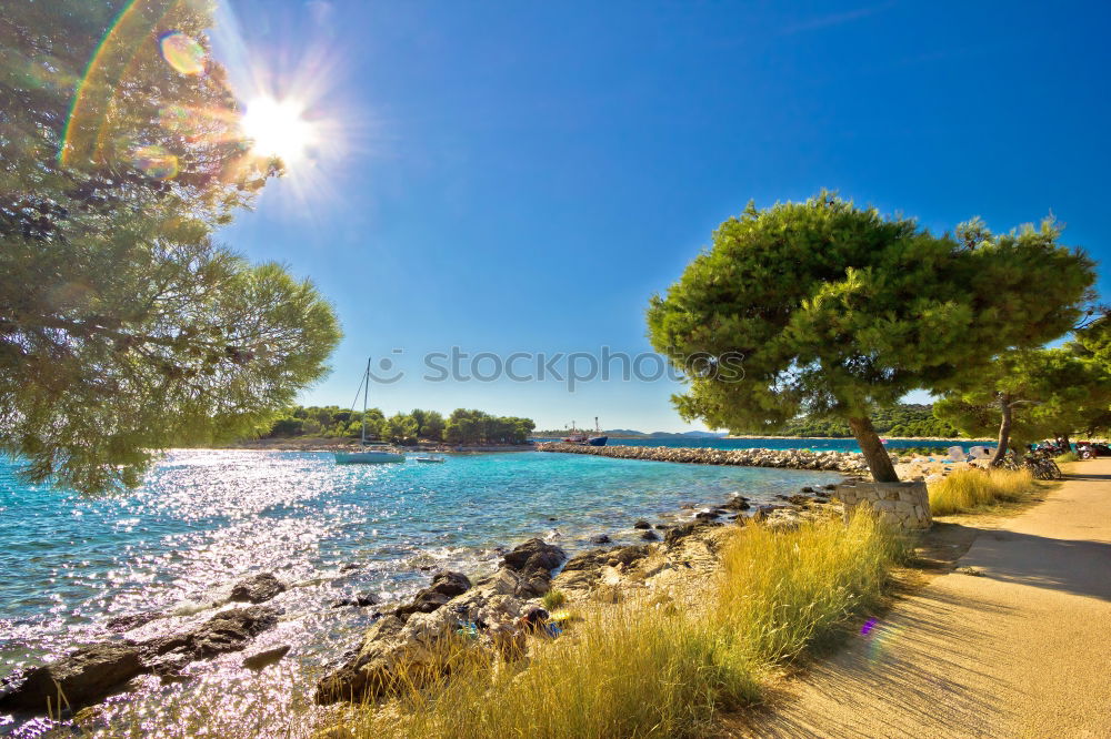 Similar – Olive trees, sea and sunset.