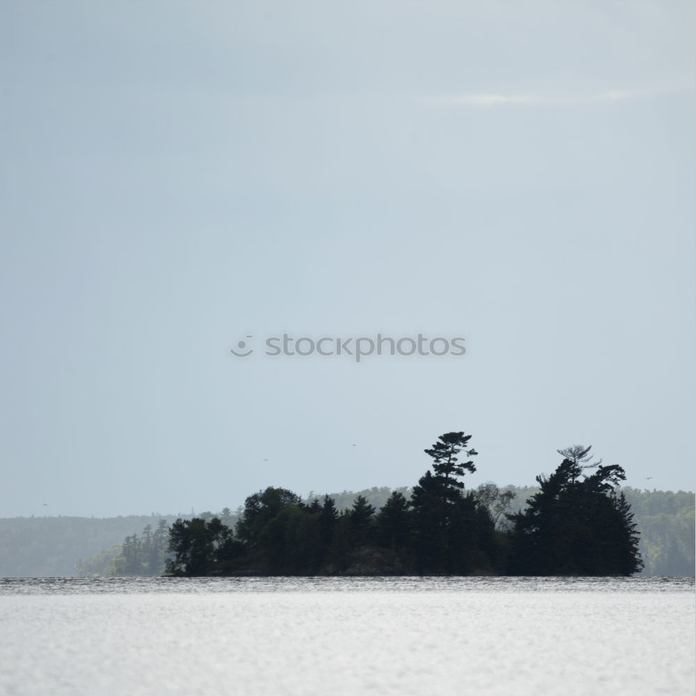 Similar – Sweet lake Footbridge Lake