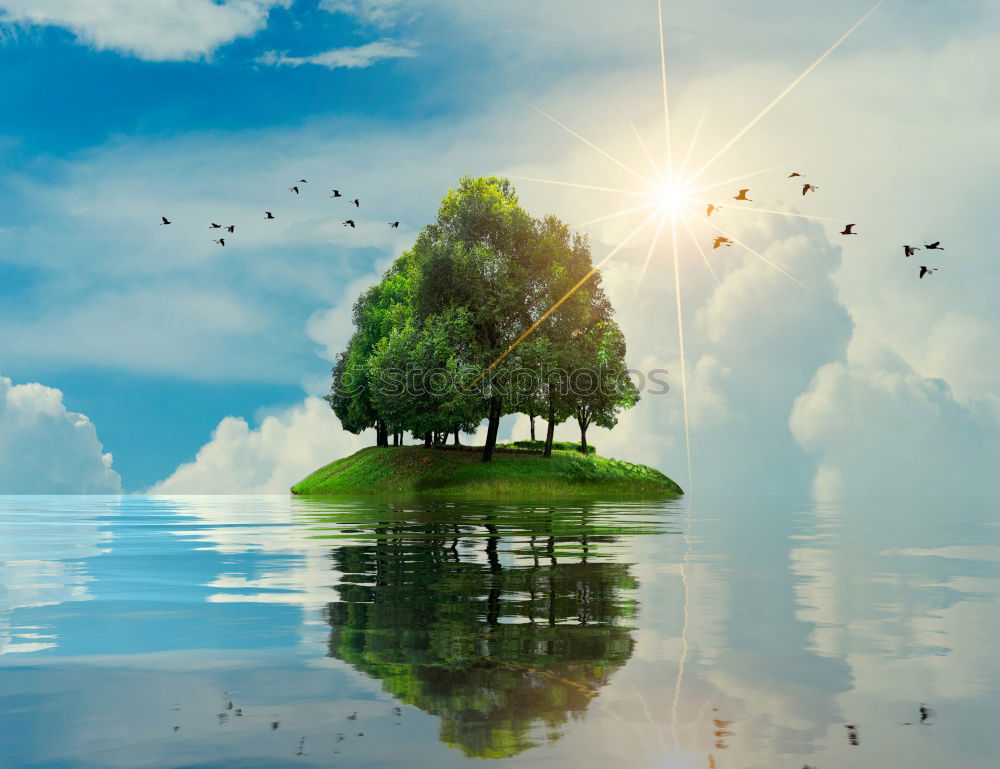 Similar – Image, Stock Photo Lonely tree on Lake Geneva