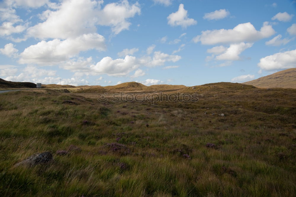 Similar – Image, Stock Photo Norway Hike Brook Stone