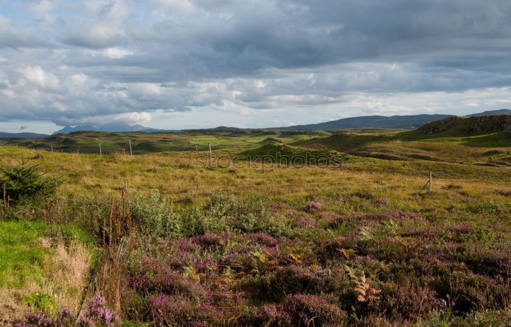 Similar – Image, Stock Photo Heath Landscape in Wales