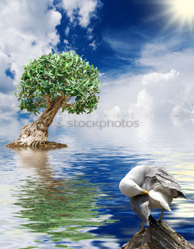 Similar – Image, Stock Photo Lonely tree on Lake Geneva