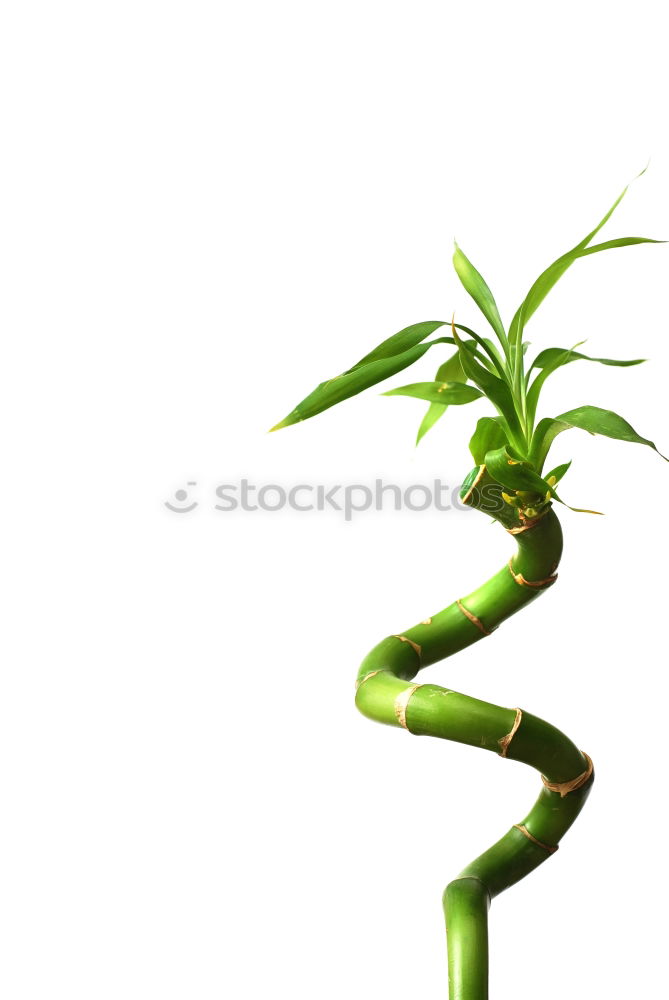 Similar – Image, Stock Photo green electricity