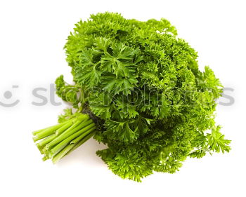 Similar – Image, Stock Photo parsley Parsley