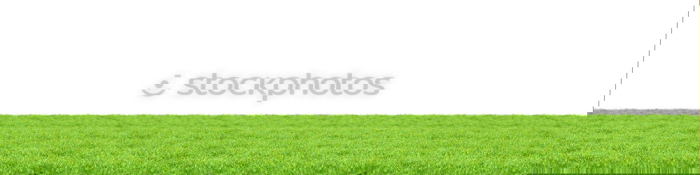 Similar – Foto Bild Federtier Spielplatz