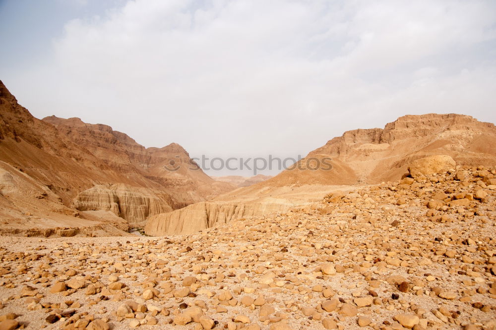 Similar – Image, Stock Photo West bank Trip Environment