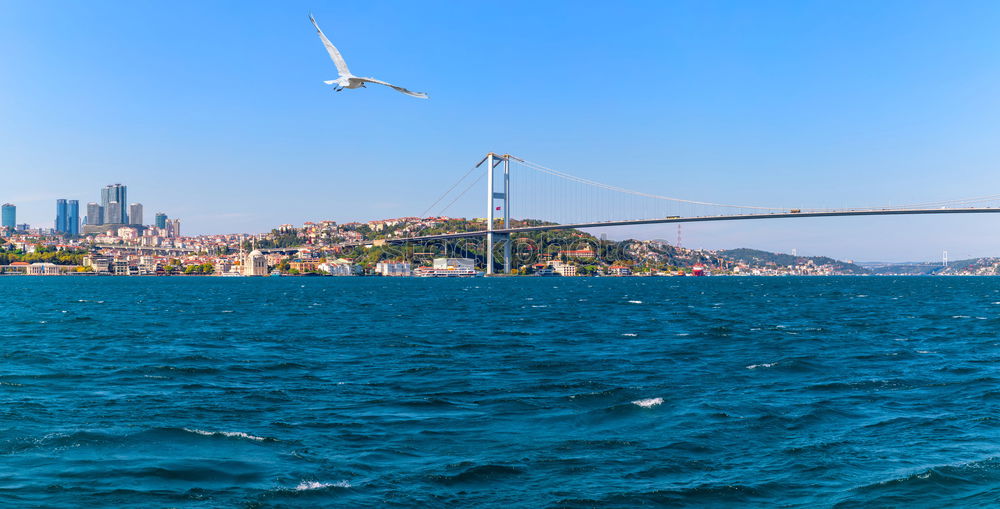 Similar – Image, Stock Photo Istanbul Vacation & Travel