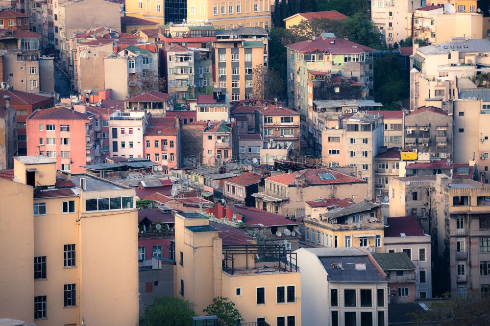 Similar – Image, Stock Photo The streets of Naples 9