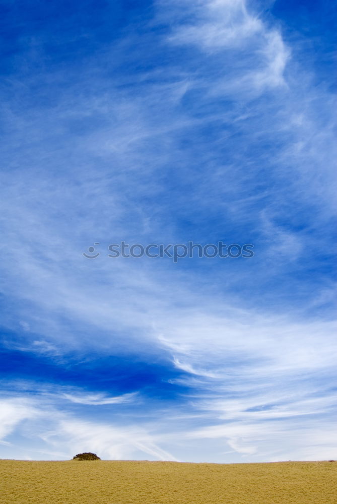 Similar – Image, Stock Photo threaded Autumn Air