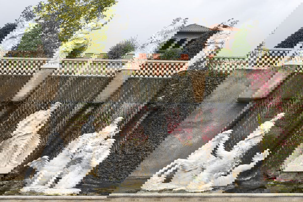 Similar – Image, Stock Photo Ni andaddschorn Tourism