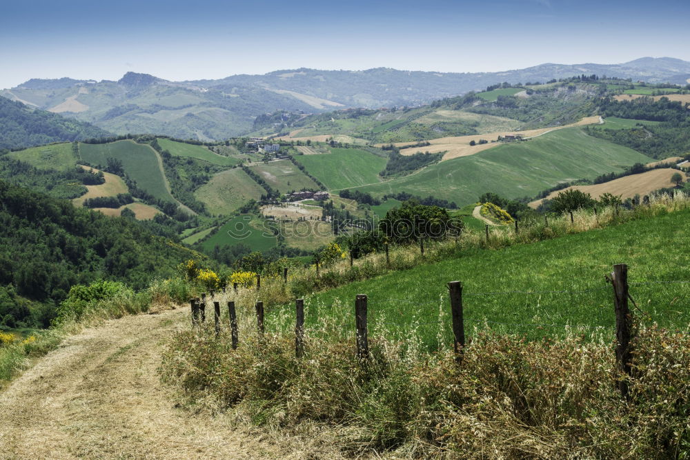 Similar – Image, Stock Photo Vine Panorama in the Ortenau near Oberkirch, Black Forest