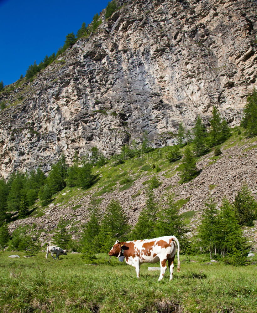 Similar – Image, Stock Photo thirst Landscape Water