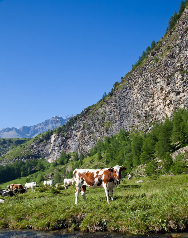 Similar – Image, Stock Photo thirst Landscape Water