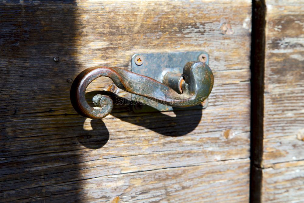 Closed Green Wood Gate