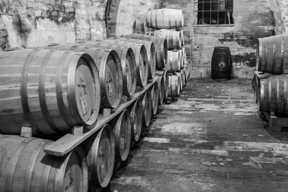 barrels Keg Cellar