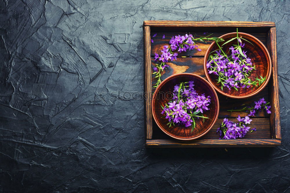 Autumn Decoration with Purple Aster