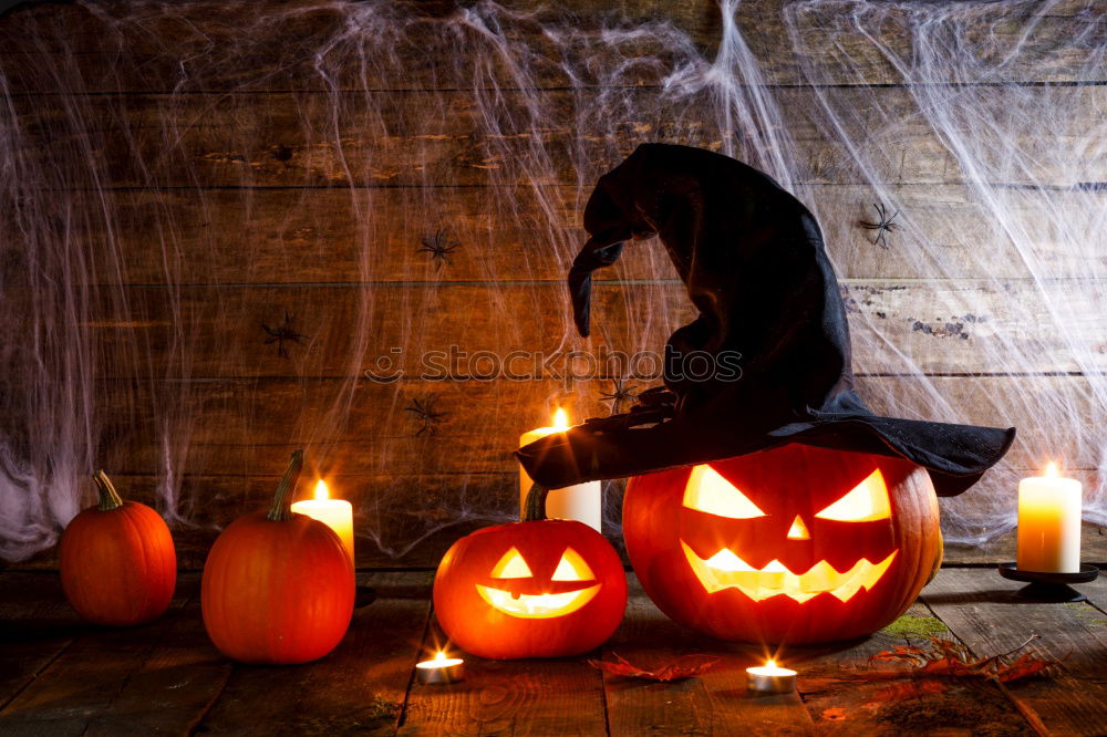 Similar – Image, Stock Photo Young boy in the Skeleton costume holding Halloween pumpkin