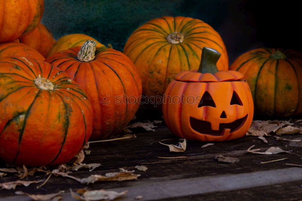 Image, Stock Photo Helloween