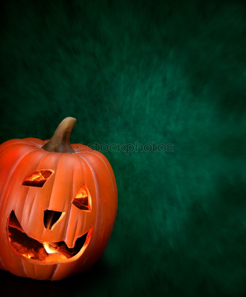 Similar – Halloween Pumpkin with Spider on Skulls