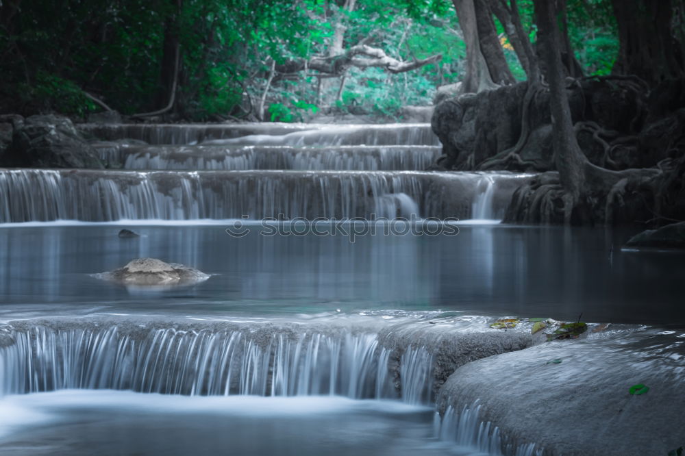 Similar – Image, Stock Photo against the current Tree