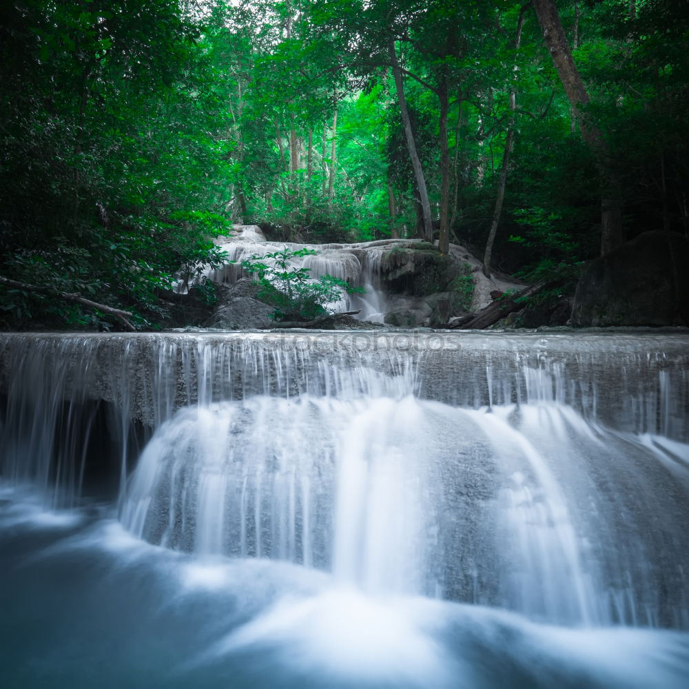 Similar – Image, Stock Photo against the current Tree