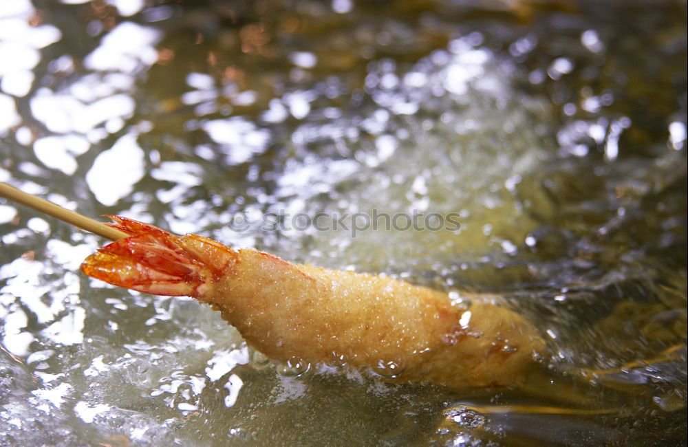 Similar – Image, Stock Photo Cod filleting in Alt Sushi