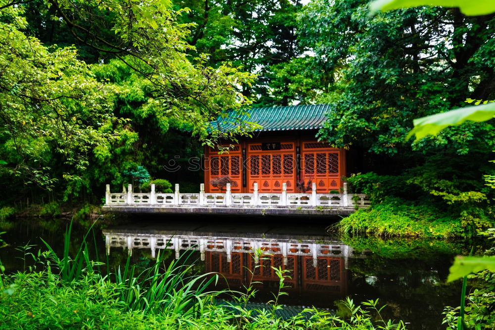 Similar – torii Nature Landscape