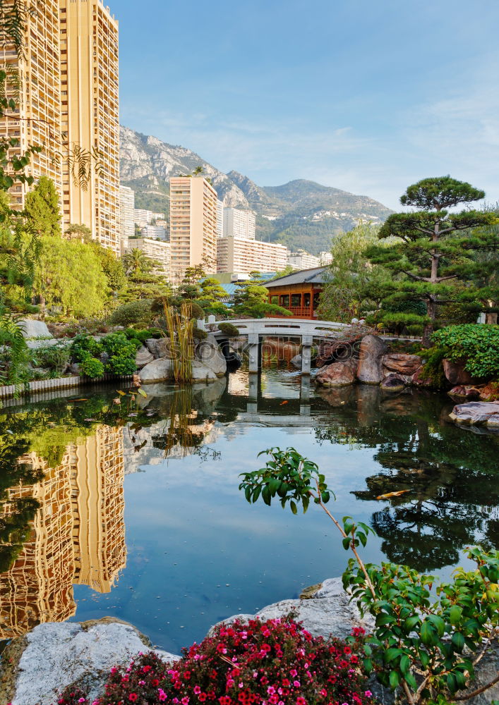 Similar – Image, Stock Photo Hong Kong is an International metropolis.