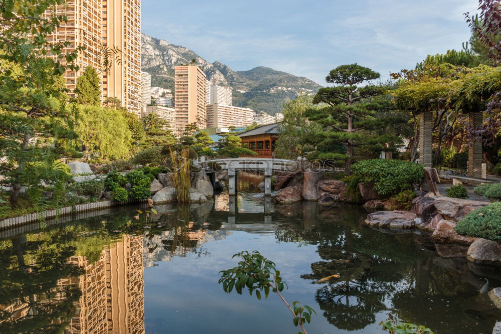 Similar – Image, Stock Photo Hong Kong is an International metropolis.