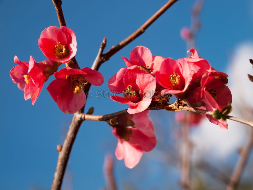 Similar – Image, Stock Photo For you it’s supposed to rain colorful pictures