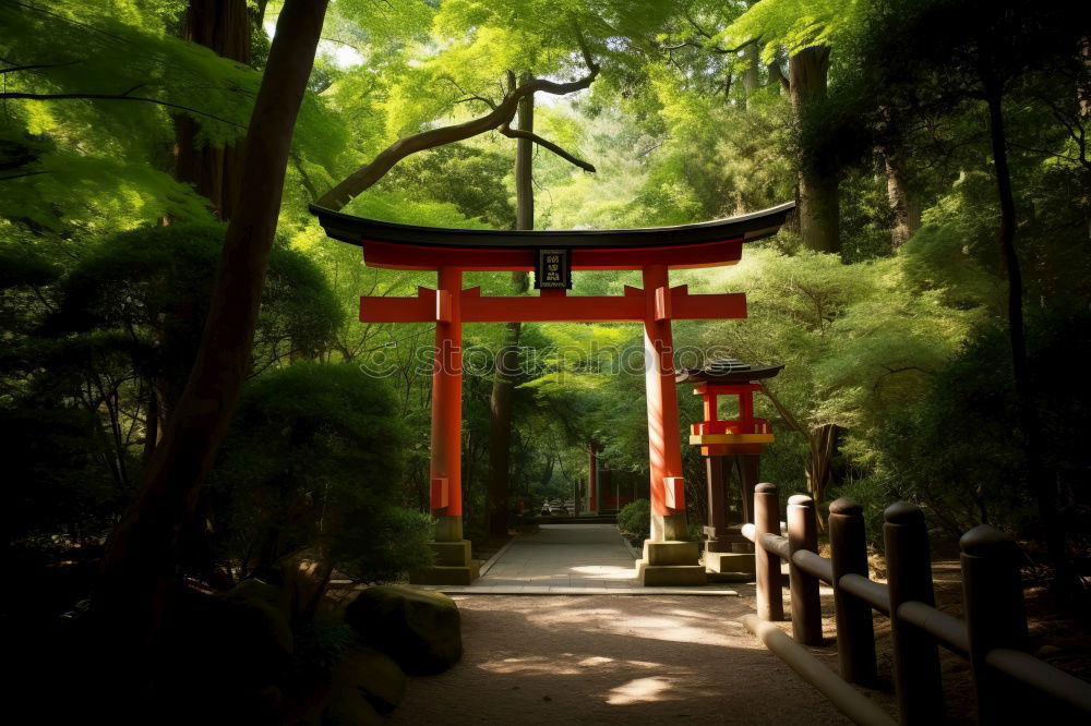 Similar – Japanese arches and path