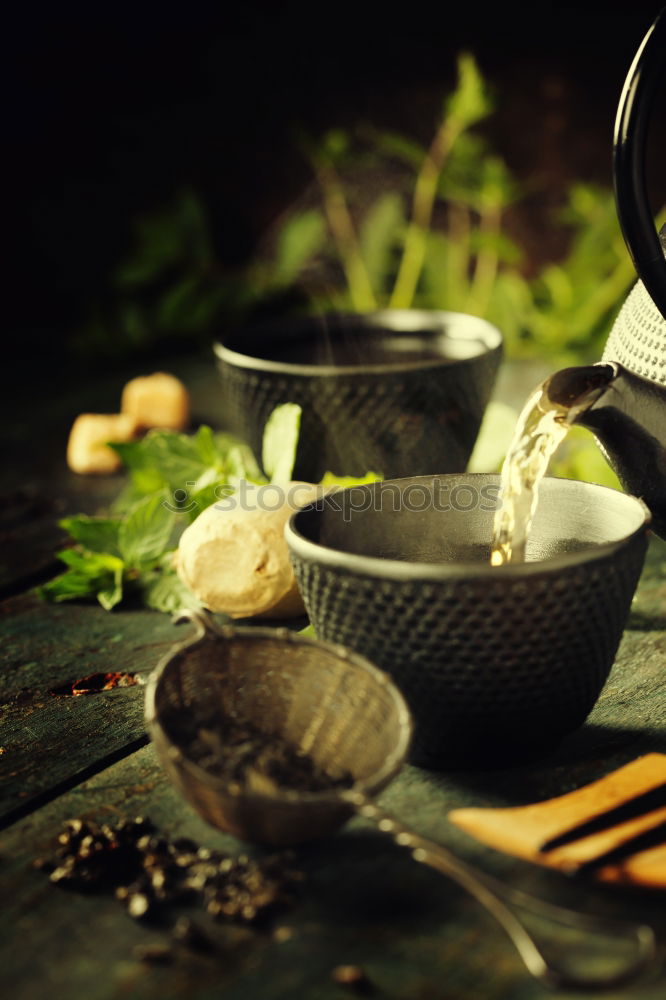 Similar – Image, Stock Photo Herbs sage tea on pile of books and old scissors