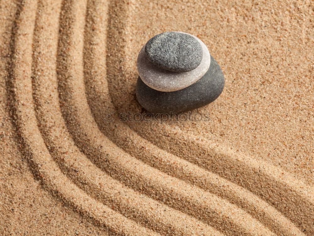 Similar – Image, Stock Photo Umbrella on beach near sea